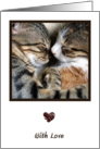 Cute Cats With Love Card
