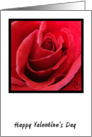 Red Rose Valentine’s Day Card