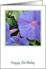 Morning Glory Flowers Birthday Card