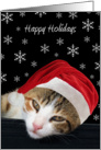 Happy Holidays, Cat in Santa Hat, Snowflakes card