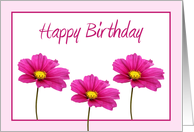 Happy Birthday Pink Floral Card
