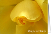 Yellow Rose - Happy...