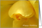 Yellow Rose - Happy Birthday card