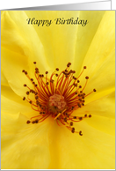 Yellow Rose Detail - Happy Birthday card