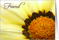 Friend Greeting Card