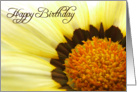 Coreopsis Flower - Birthday card