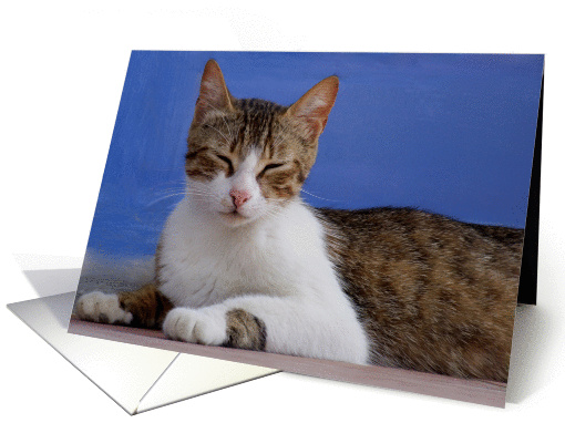 Greek Cat card (239461)