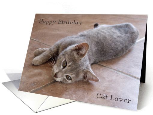 Happy Birthday Cat Lover card (287937)
