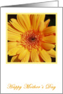 Gerbera Happy Mother’s Day card