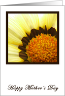 Yellow Brown Flower Mothers Day card