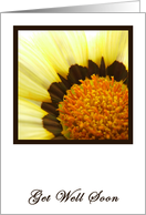 Yellow & Brown Flower Get Well Card