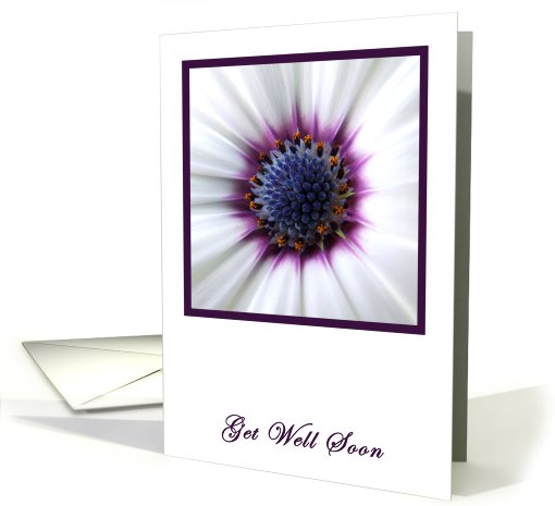 Purple Daisy Get Well Soon card (416961)