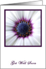 Purple Daisy Get Well Soon card