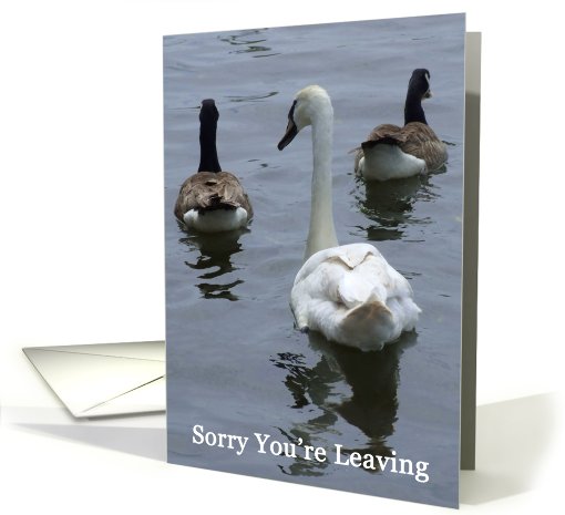 Sorry You're Leaving Geese Swans card (454295)