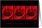 Red Roses Valentine Card