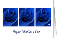 Blue Roses Valentine...