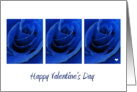 Blue Roses Valentine Card