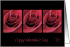 Bold Pink Roses Valentine Card