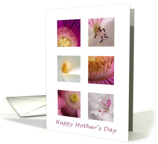 Pink and White Flowers - Mother's Day card (567349)