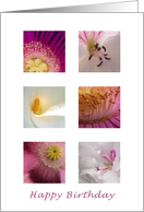 Pink White Flowers Birthday card