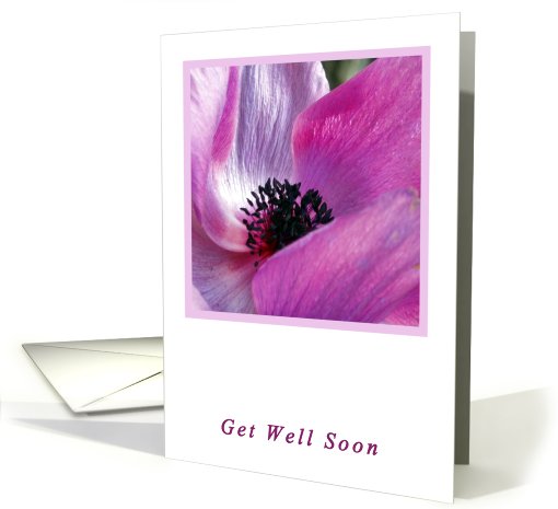 Anemone Get Well Soon card (573065)