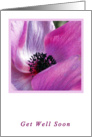 Anemone Get Well Soon Card