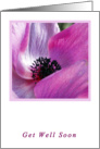 Anemone Get Well Soon Card