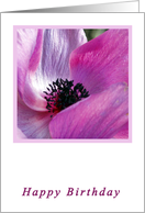 Anemone Birthday Card