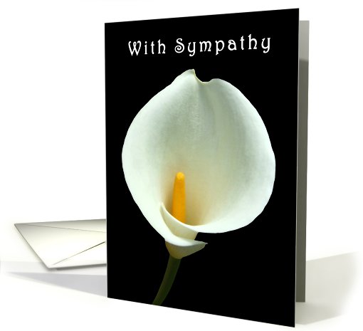 Lilly With Sympathy card (592152)