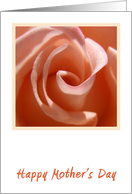 Peach Rose Mother's...