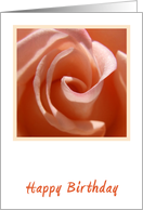 Peach Rose Birthday card