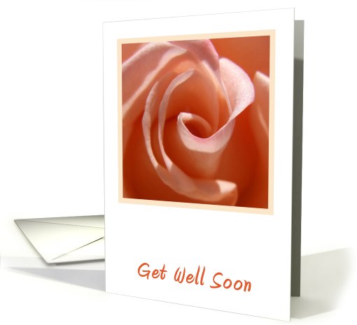 Peach Rose Get Well card (607174)