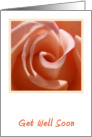 Peach Rose Get Well card