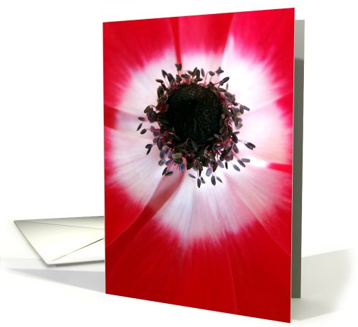 Red Flower Center card (623623)