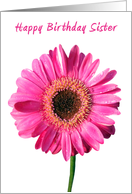 Gerbera Happy Birthday Sister card