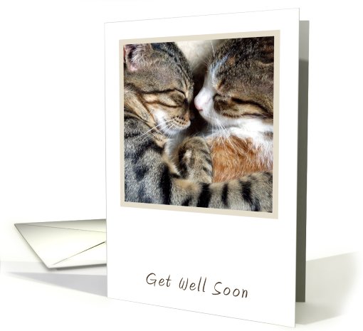 Cat Get Well Soon card (789670)