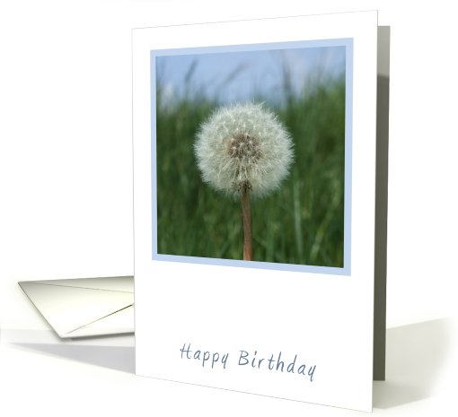 Dandelion Birthday card (789673)