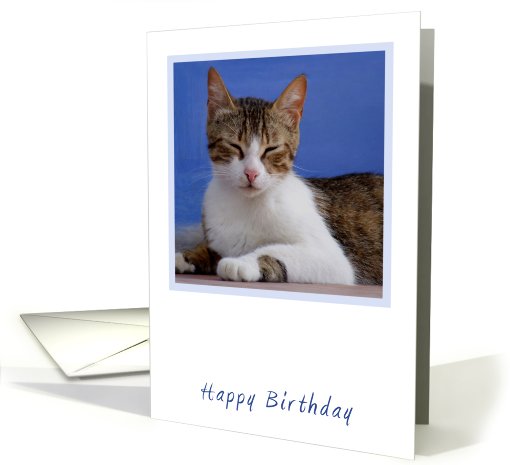 Greek Cat Birthday card (789702)