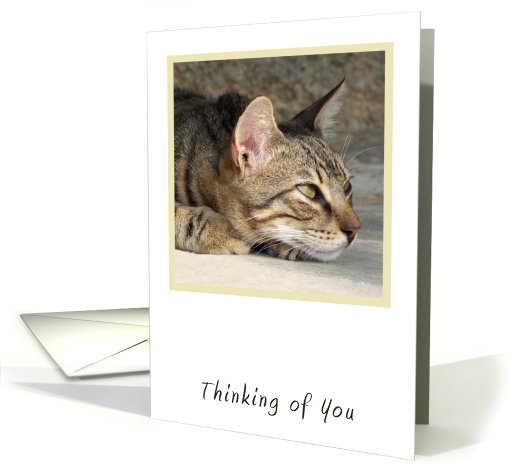 Tabby Cat Thinking of You card (789709)