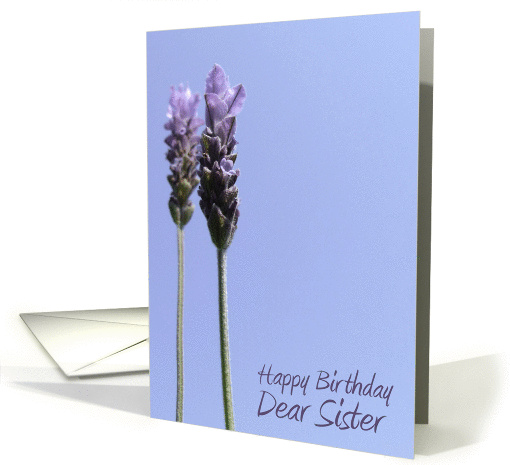 Lavendar Sister Birthday card (837092)