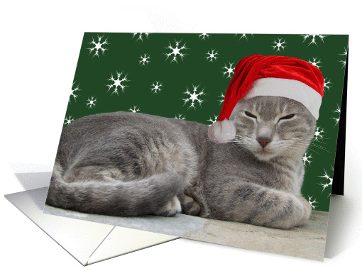 Happy Holidays Chrismas Cat in Santa Hat card (869806)