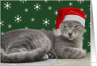 Happy Holidays Chrismas Cat in Santa Hat Card