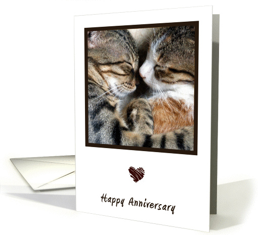 Cat Love Anniversary card (893916)