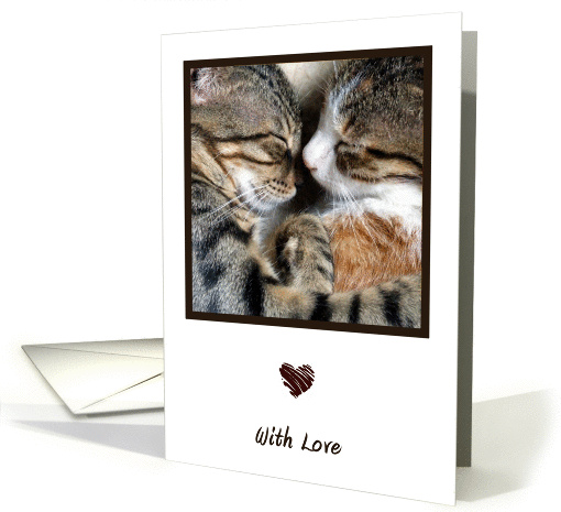 Cute Cats With Love card (893934)