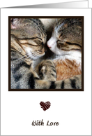 Cute Cats With Love Card