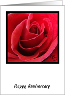 Red Rose Anniversary Card