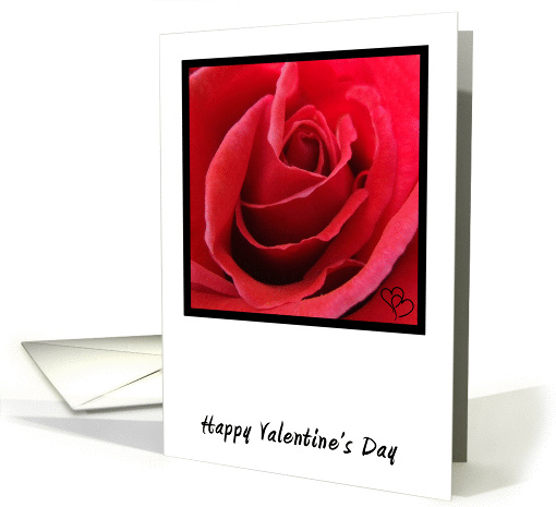 Red Rose Valentine's Day card (893945)