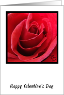 Red Rose Valentine’s Day Card