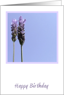 Lavender Birthday Card