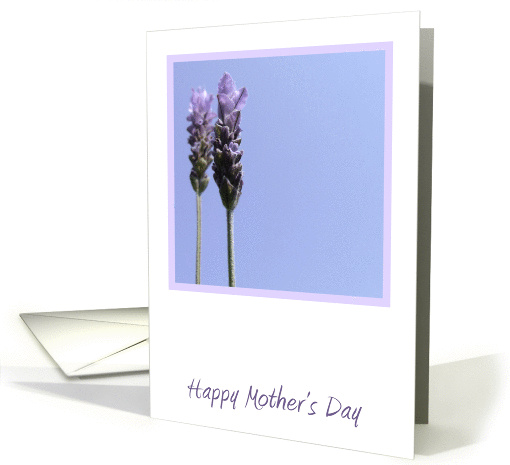 Lavender Mother's Day card (898150)